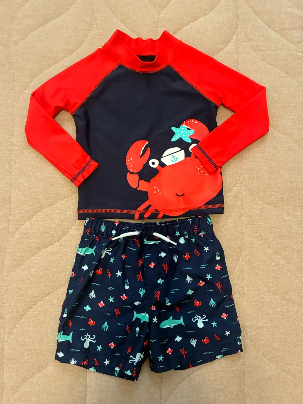 Carter’s 24 Month Swimsuit/Swim Set